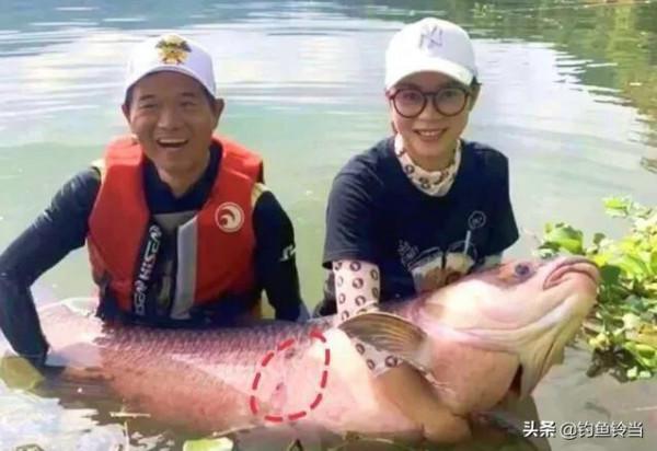 從兩條百斤大青到帶貨近1.6億,一夜爆紅,談釣王鄧剛的精彩人生 從兩條百斤大青到帶貨近1.6億,一夜爆紅,談釣王鄧剛的精彩人生