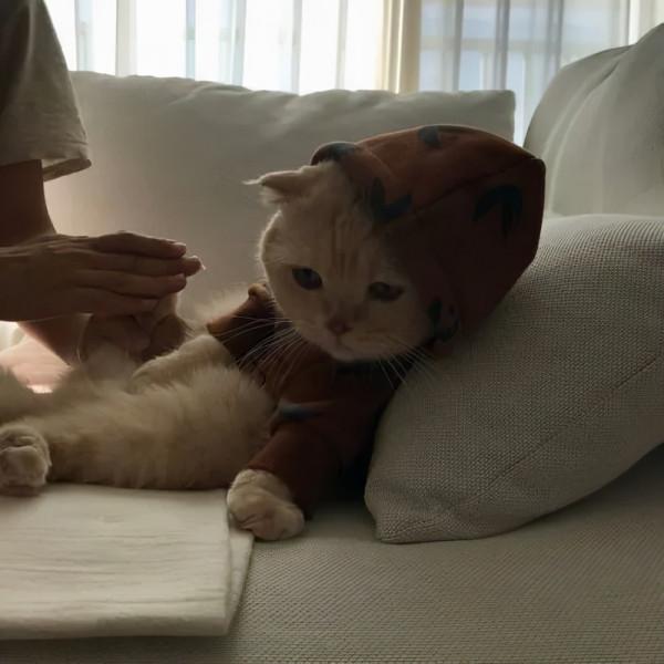 你有沒有遇到過這樣的人：看起來自卑內向，其實內心無比自戀