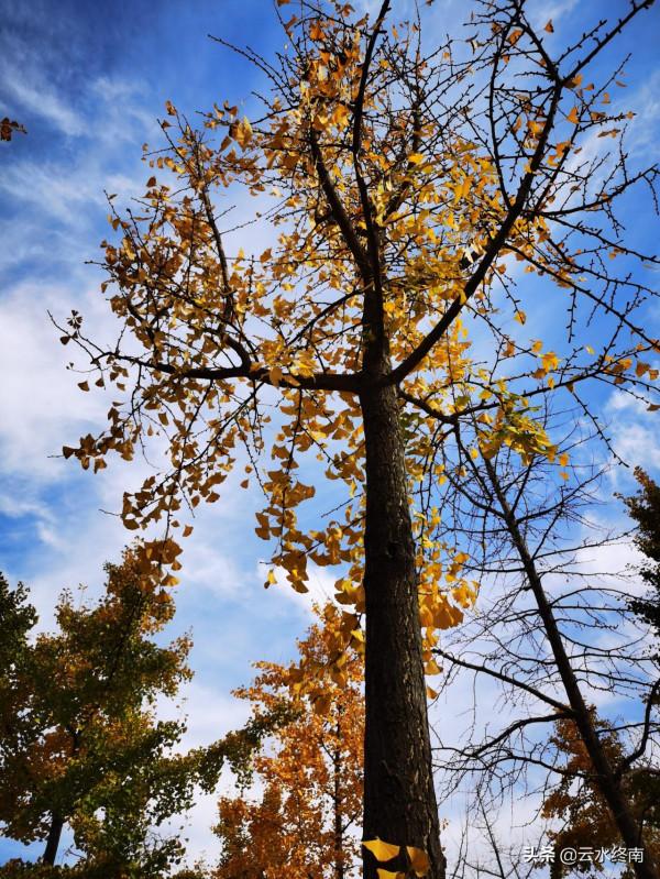在“涇渭分明”處，有人說他釣過四五十斤的大魚