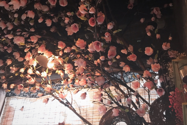 才華橫溢的星座，人格魅力強，追隨者很多，團隊中不可或缺的角色