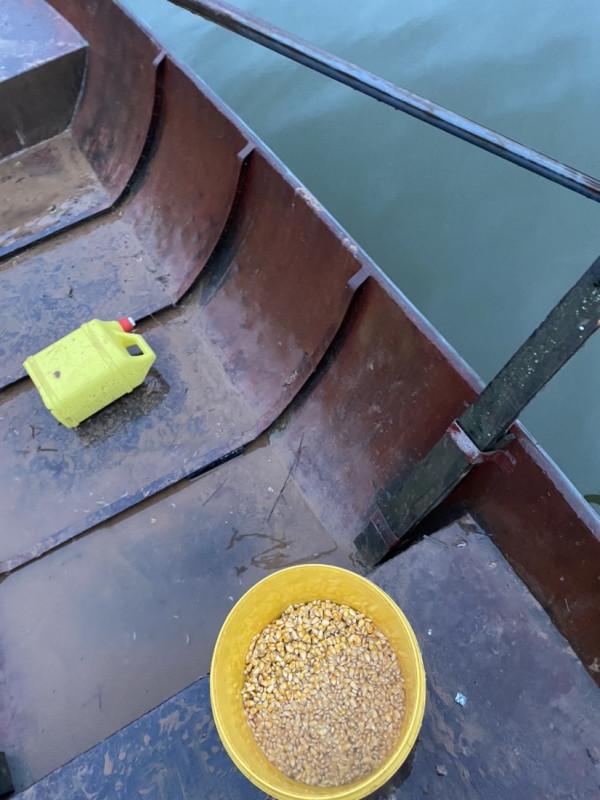 「秋釣」升鍾湖垂釣，改變線組，漁獲滿倉