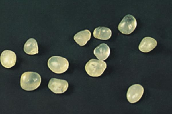 陝西一地出土皇帝珍寶，慘遭當地村民哄搶，它們為何會出現在這裡