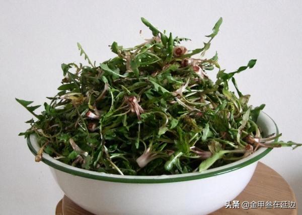 盤點東北人摯愛的野菜！不知道你吃過幾種？現在買真不便宜…