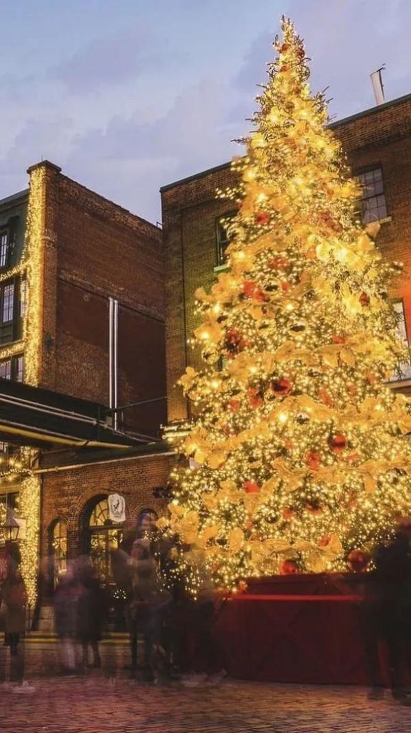 聖誕季：歲末有你，溫暖如斯