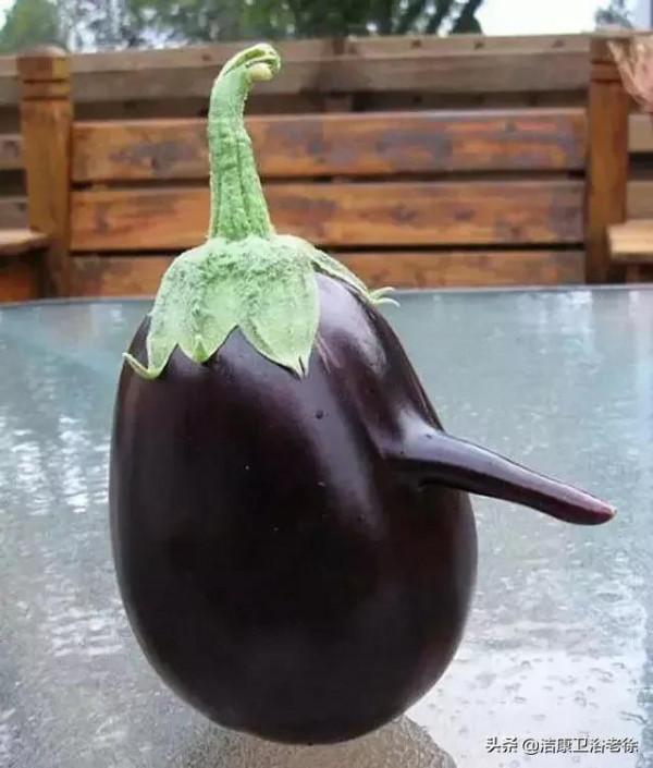 奇葩的&OpenCurlyDoubleQuote;藝術造型&rdquo;蔬菜！沒有神奇、只有更奇 &num;金粉社群&num;