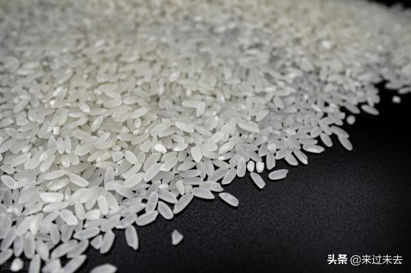 米粒尖上的白點是什麼東西？是黴菌還是人工漂白劑用多了？