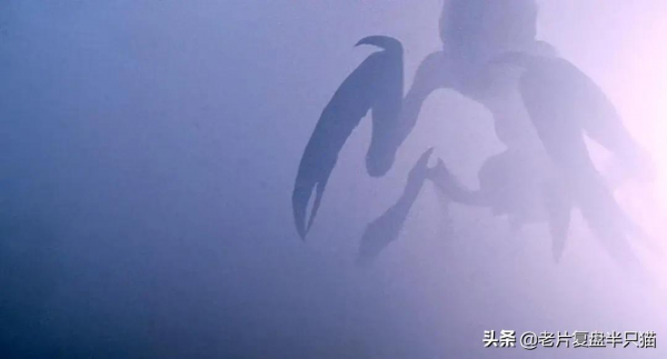 “絕望”到令人窒息的《迷霧》,還藏著“七宗罪”,你找到了嗎? “絕望”到令人窒息的《迷霧》,還藏著“七宗罪”,你找到了嗎?