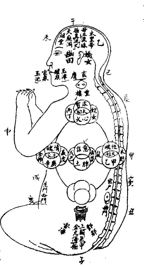 【老來夜尿、尿頻，什麼原因，怎麼應對？】