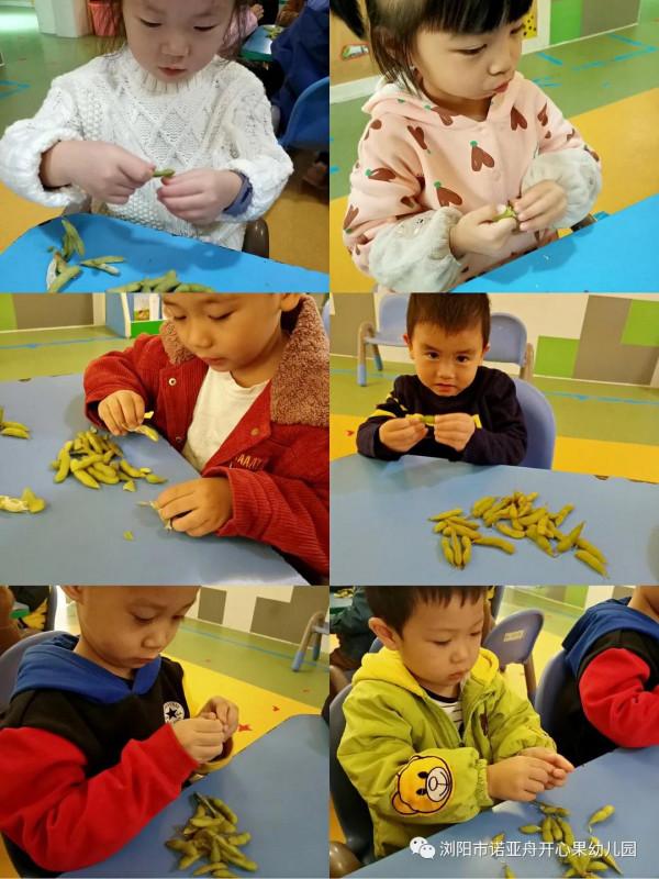 諾亞舟開心果幼兒園讓多元化課程——點亮快樂童年