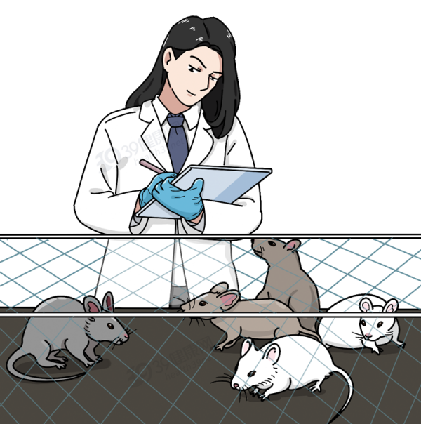 什麼是膳食纖維?《柳葉刀》點名表揚:可降低死亡風險,延長壽命 什麼是膳食纖維?《柳葉刀》點名表揚:可降低死亡風險,延長壽命