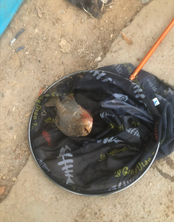 帶著長安CS75Plus釣魚 帶著長安CS75Plus釣魚