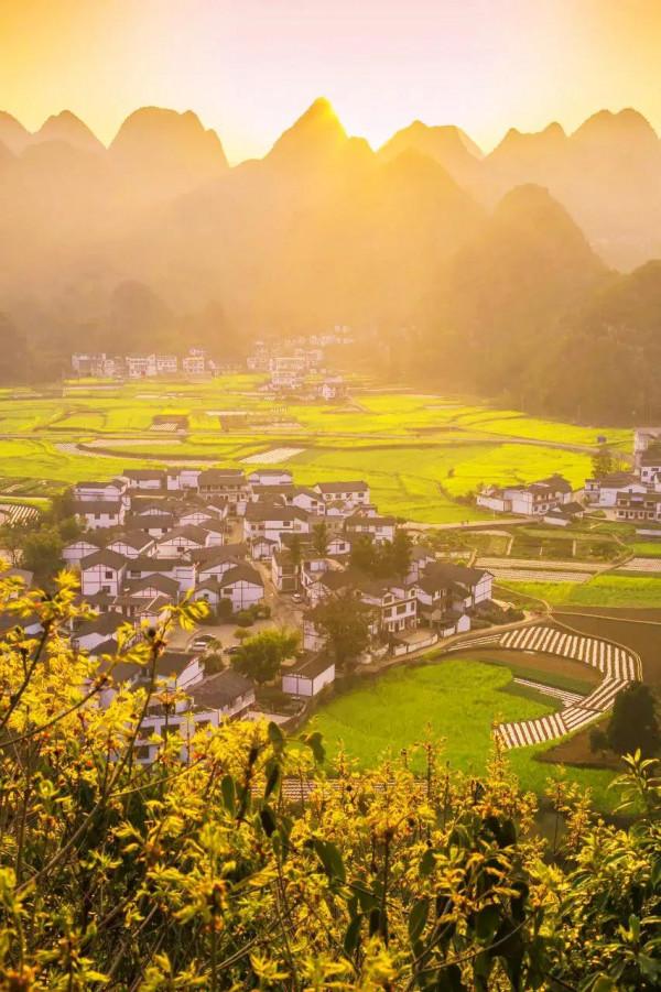 2月國寶級美景!不輸瑞士的神秘淨土,最早綻放的萬畝花海 2月國寶級美景!不輸瑞士的神秘淨土,最早綻放的萬畝花海