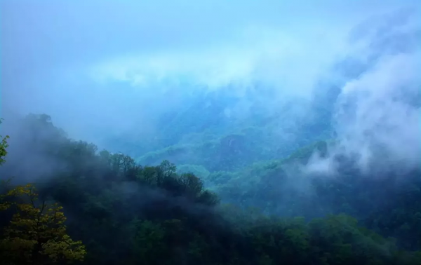 西峽這個地方秋色“蠢蠢欲動”，是時候開啟一場深秋之旅啦