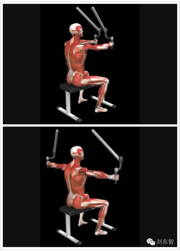 健身：大神都這樣練肩膀，八大黃金動作（上）