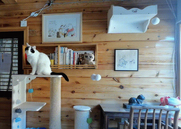 大阿寶：“斜槓青年”歡樂多