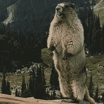 孩子的抗疲勞能力堪比「鐵人三項」!家長表示扛不住了 孩子的抗疲勞能力堪比「鐵人三項」!家長表示扛不住了