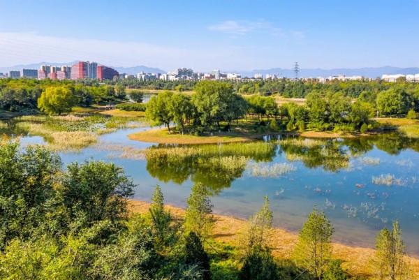 快來！您想欣賞的秋景，都在濱河公園