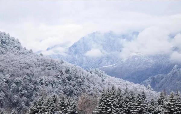 「甘海子」高山牧場,霧凇奇景 「甘海子」高山牧場,霧凇奇景