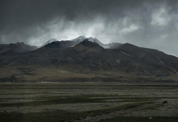 可可西里為啥不允許隨意進入？帶你深度瞭解這一“人類禁區”