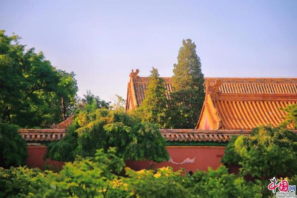 plog|感受京城中軸線之美 中國網小編帶你逛景山公園