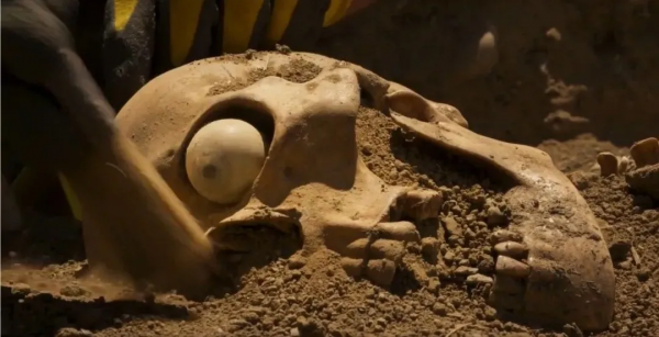 海報都要打碼,才敢安利阿莫多瓦的最新大作 海報都要打碼,才敢安利阿莫多瓦的最新大作