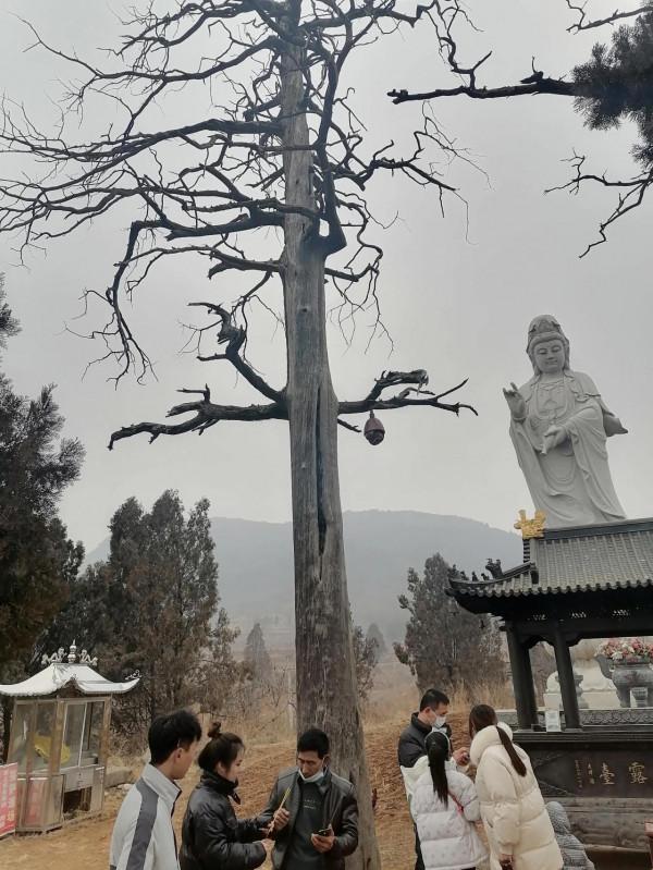 帶著母親看天下（少林寺景區）