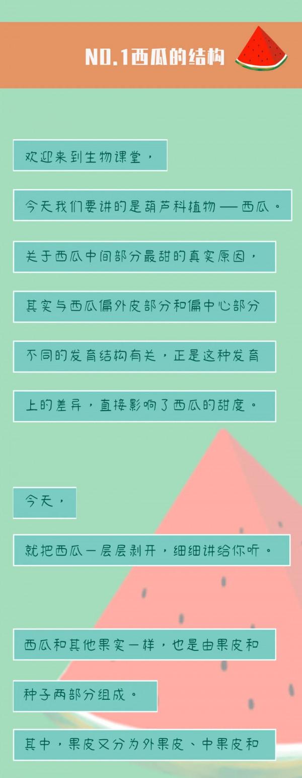 西瓜為啥中間一口最甜？！