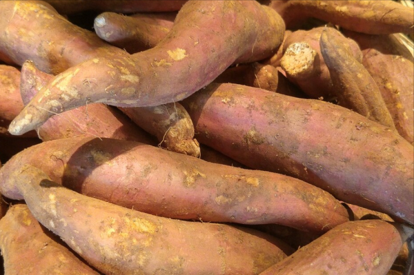 曬紅薯幹,切完就曬易發黑?記住“5大技巧”,紅薯幹軟糯不幹硬 曬紅薯幹,切完就曬易發黑?記住“5大技巧”,紅薯幹軟糯不幹硬