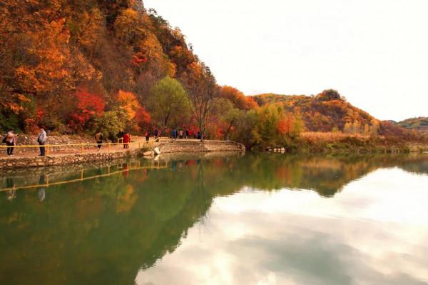 遼寧又發現神秘溪谷，美如仙境，天然氧吧