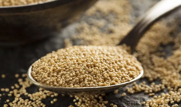 那些在美國超市經常出現，但是你不敢買的菜，其實很好吃