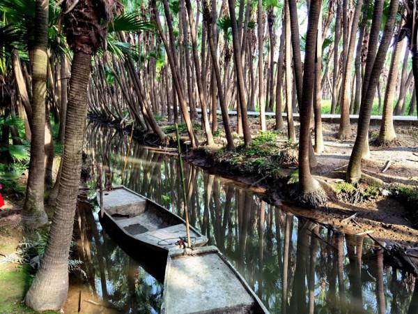 葵林風光好,流連不知返 葵林風光好,流連不知返