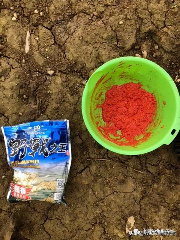 海口湖暴連野生鯽鯉