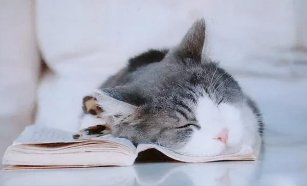 “最牛雙胞胎”黃警楊景：母親早逝，兄弟齊心考入清華報答父母