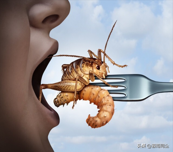 不要相信關於野外生存的神話，22個大錯特錯能讓你喪命的求生誤區