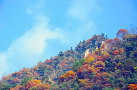 浙西秋韻美不勝收