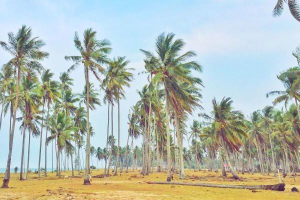 如何成為自己想要的樣子呢？