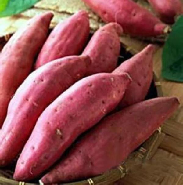 十大農產品別名