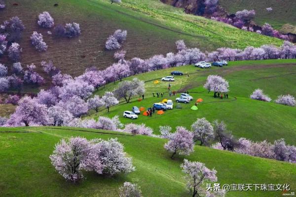 下輩子我就這麼活