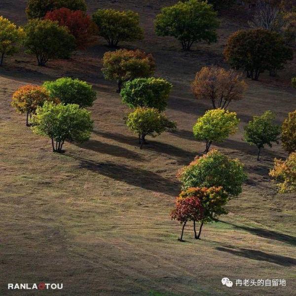 「青未了」冉令傑|南井,那一抹血紅的曙色 「青未了」冉令傑|南井,那一抹血紅的曙色