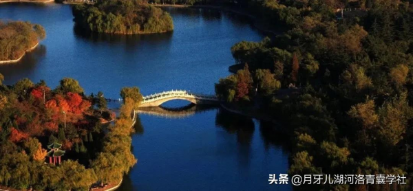 張珍玉丨談談藏象學說中的幾個重要問題