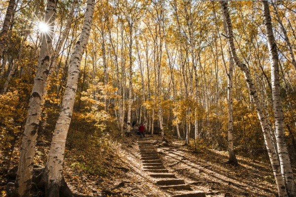 在北京過個秋天，立刻退掉了去騰衝的機票