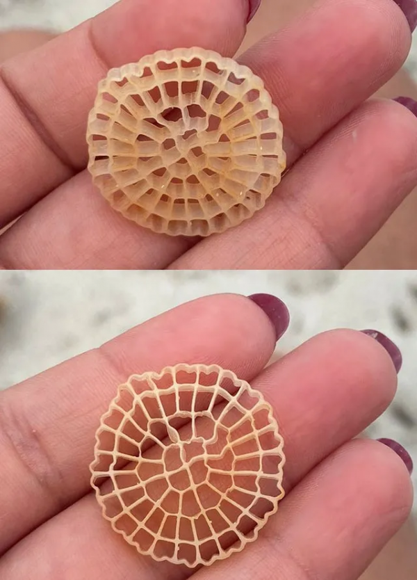 網友有多萬能？恐怖的網友什麼都能解答，不管你問啥