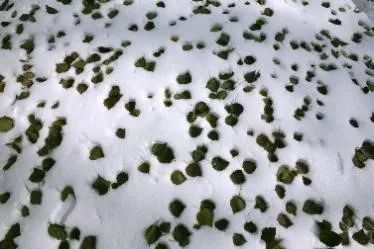 走近大師 | 周旭：玩著玩著，就“玩”出了好幾本繪本