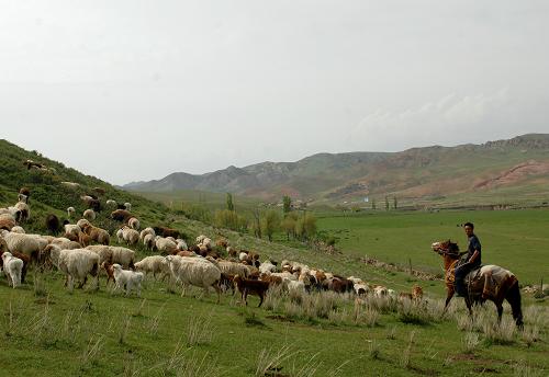 為什麼匈奴人會有夫死嫁子、子死嫁孫的習俗呢？其實漢族之前也有