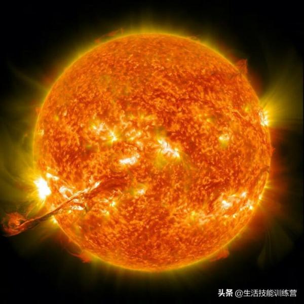 30個有趣的冷知識給你一個不一樣的視角看世界