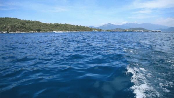 如果遇見50米高的海嘯，是跑向內陸好，還是迎面扎進水裡好？