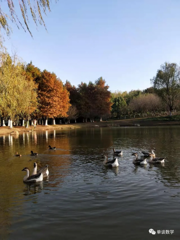 大學城的小動物