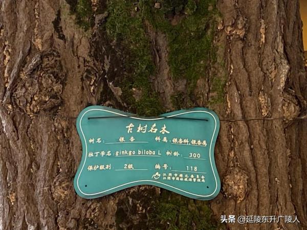 江蘇江陰市蒼山古寺 一代帝王埋身地 千年古寺伴皇陵 江南佛國 江蘇江陰市蒼山古寺 一代帝王埋身地 千年古寺伴皇陵 江南佛國