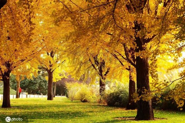 年度最佳 | 千龍網，2021年度回顧