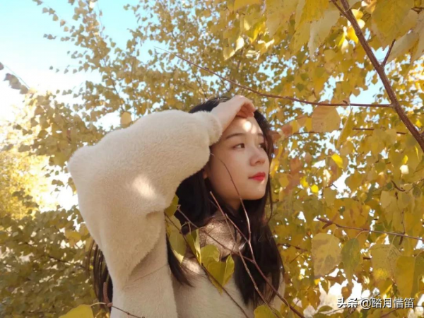 中秋遊新疆 | 去天池 尋找秋天的童話 中秋遊新疆 | 去天池 尋找秋天的童話